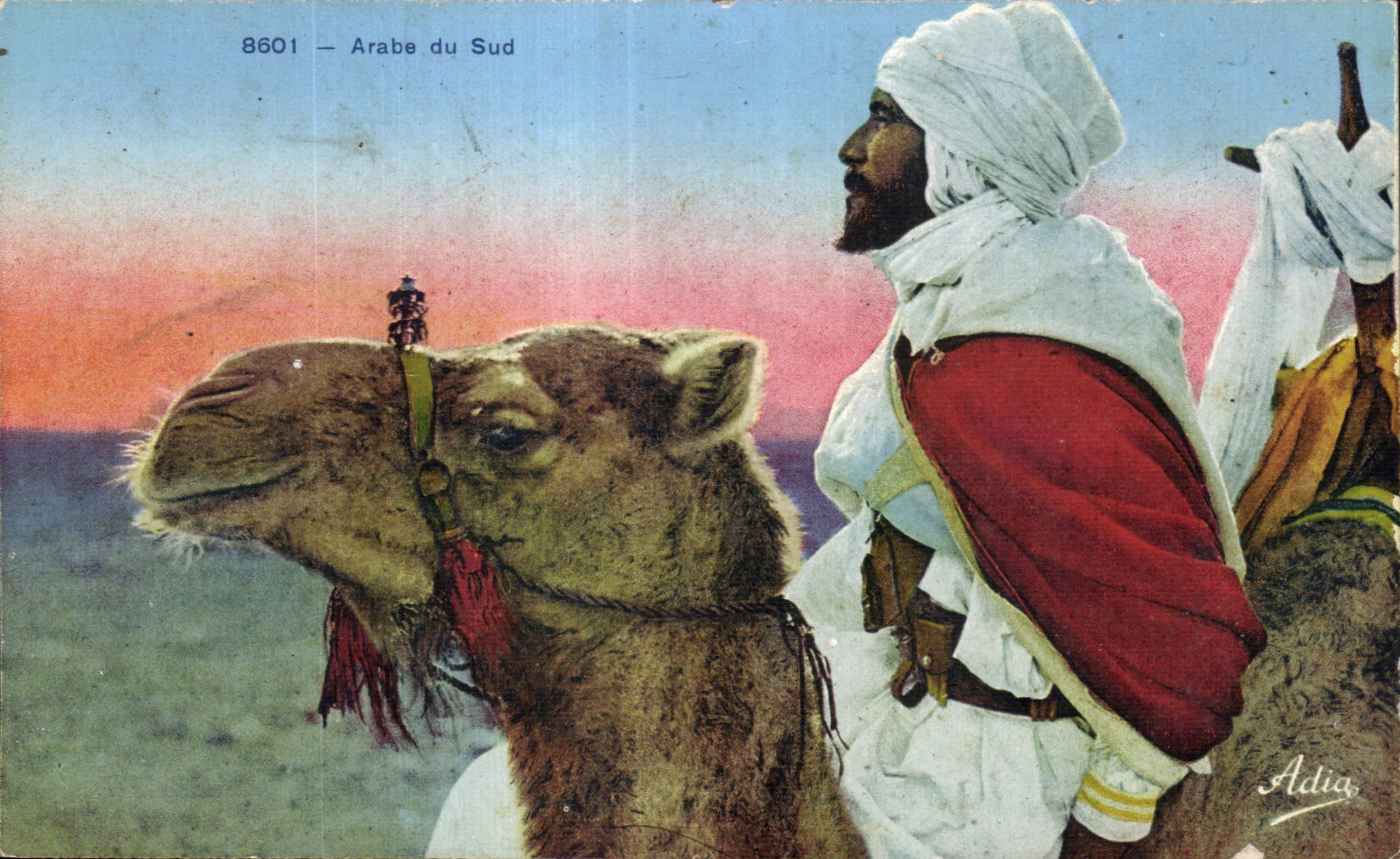 Arabe CPA Argelia del camello del sur del camello