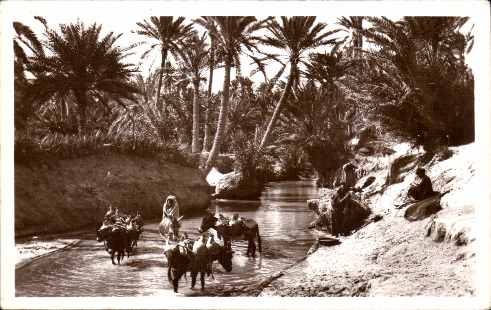 Escenas y tipos de CPA un lecho de un rio seco en oasis