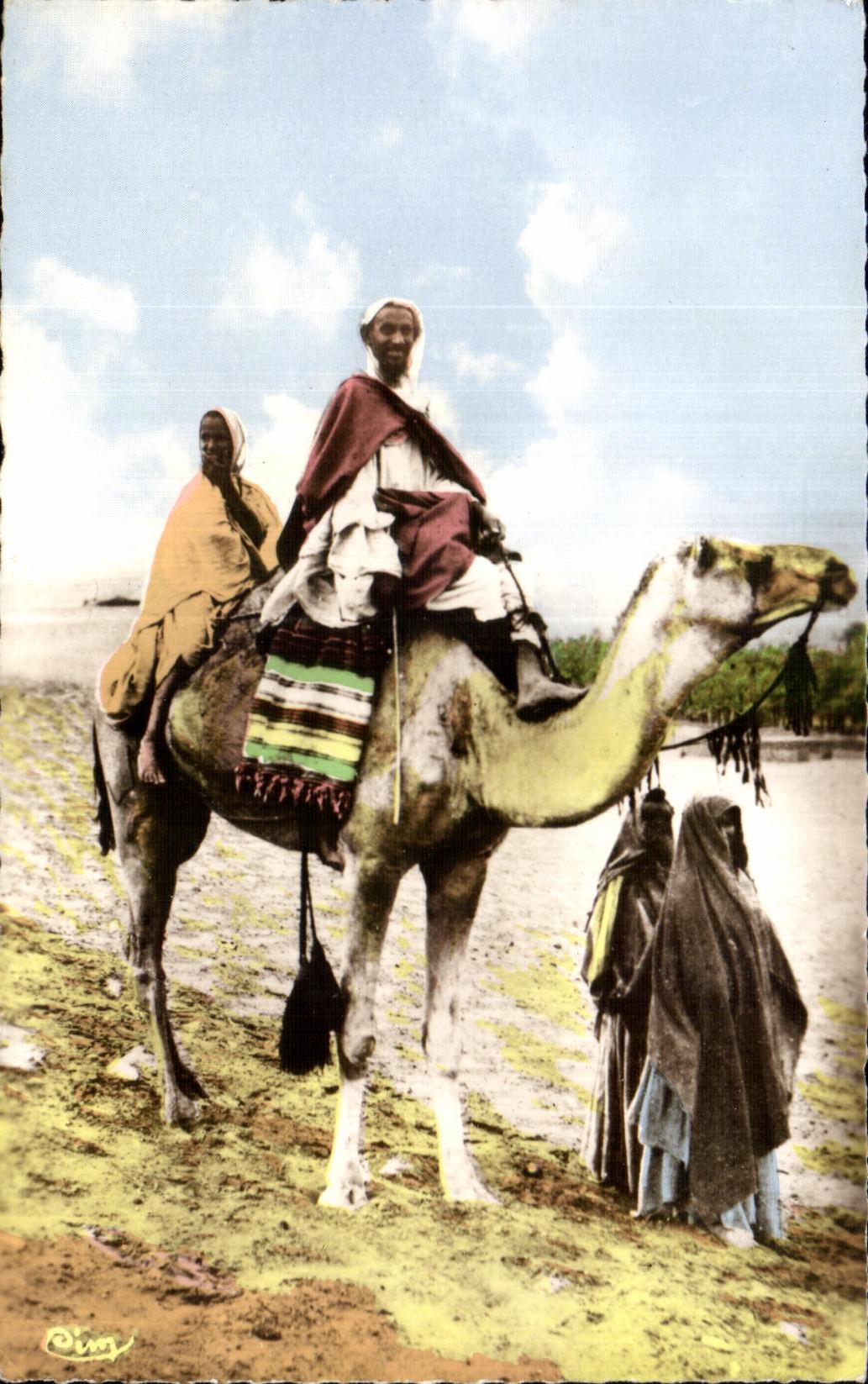 Camello del camello de CPA Argelia un morabito