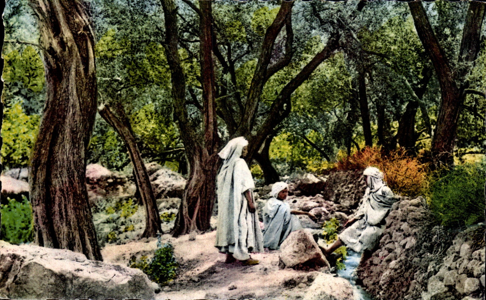 Escenas de CPA Argelia y Africa del Norte estAndar en un taladro