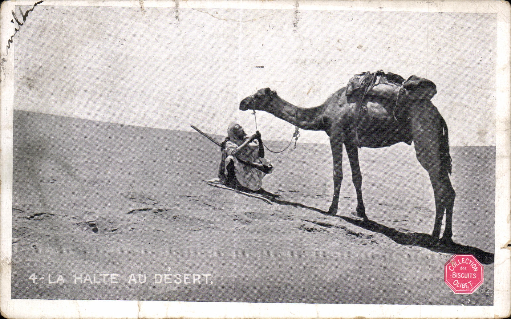 CPA Algerie el alto con el camello Chameau de los servicios