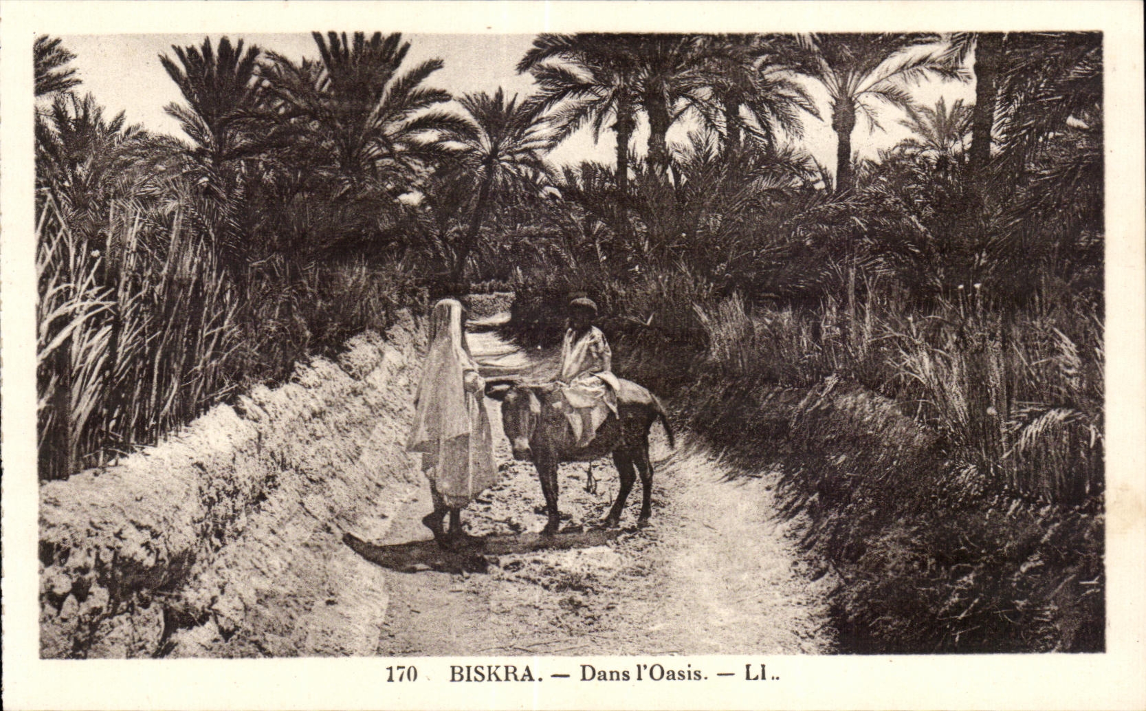 CPA Biskra Algeria In I Oasis