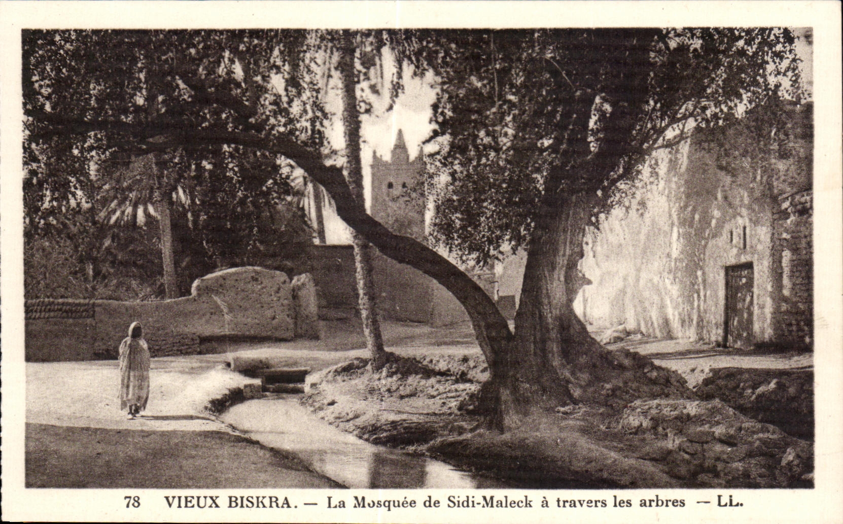 CPA Algeria Biskra Old man the Mosque of Sidi Maleek through the trees