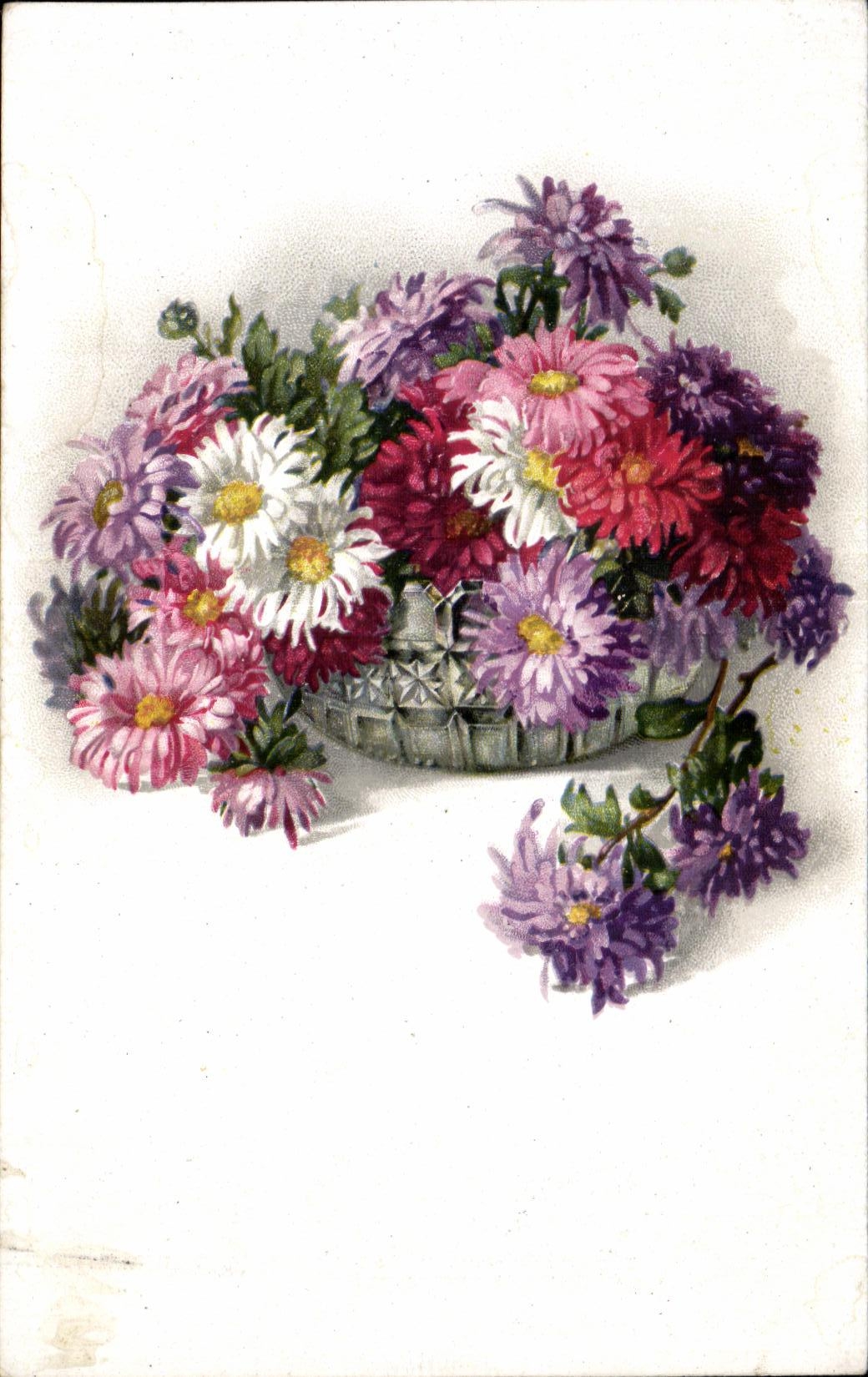 Flores de la fantasia de CPA