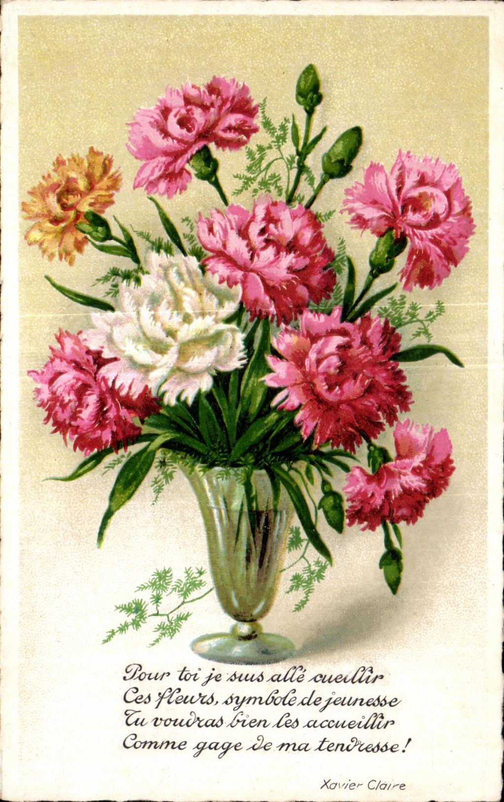 Flor de la fantasia de CPA