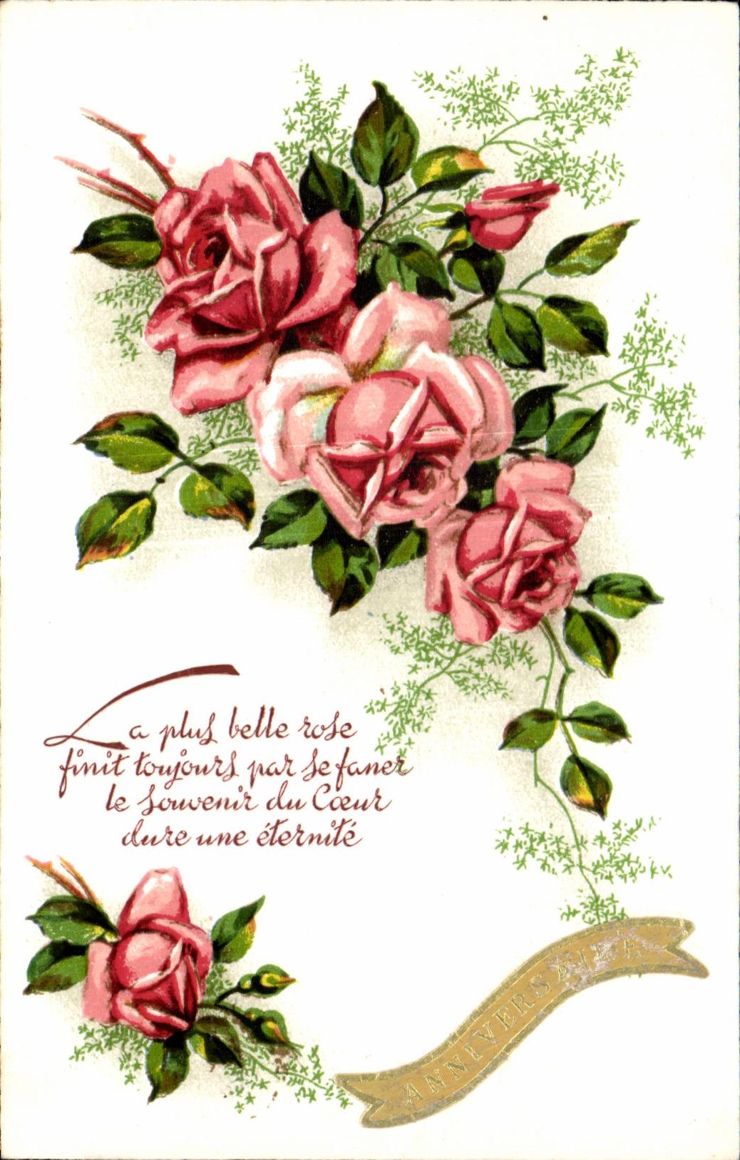 Flor de la fantasia de CPA