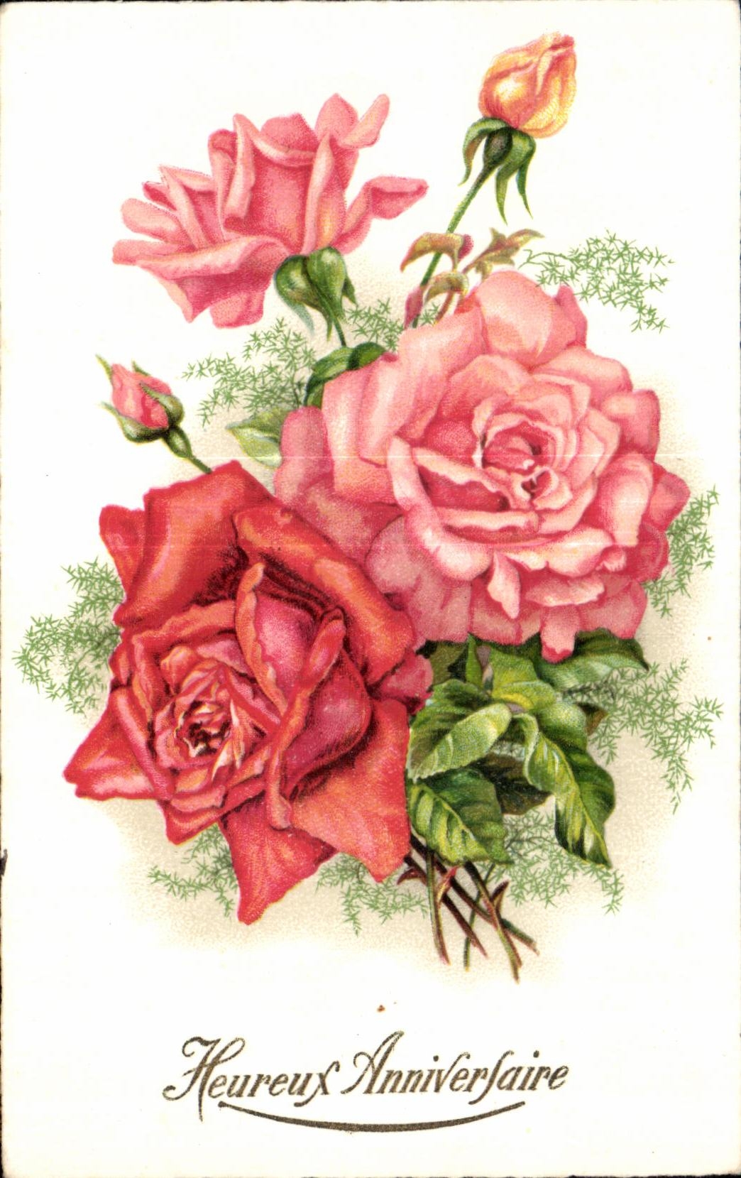 Flor de la fantasia de CPA