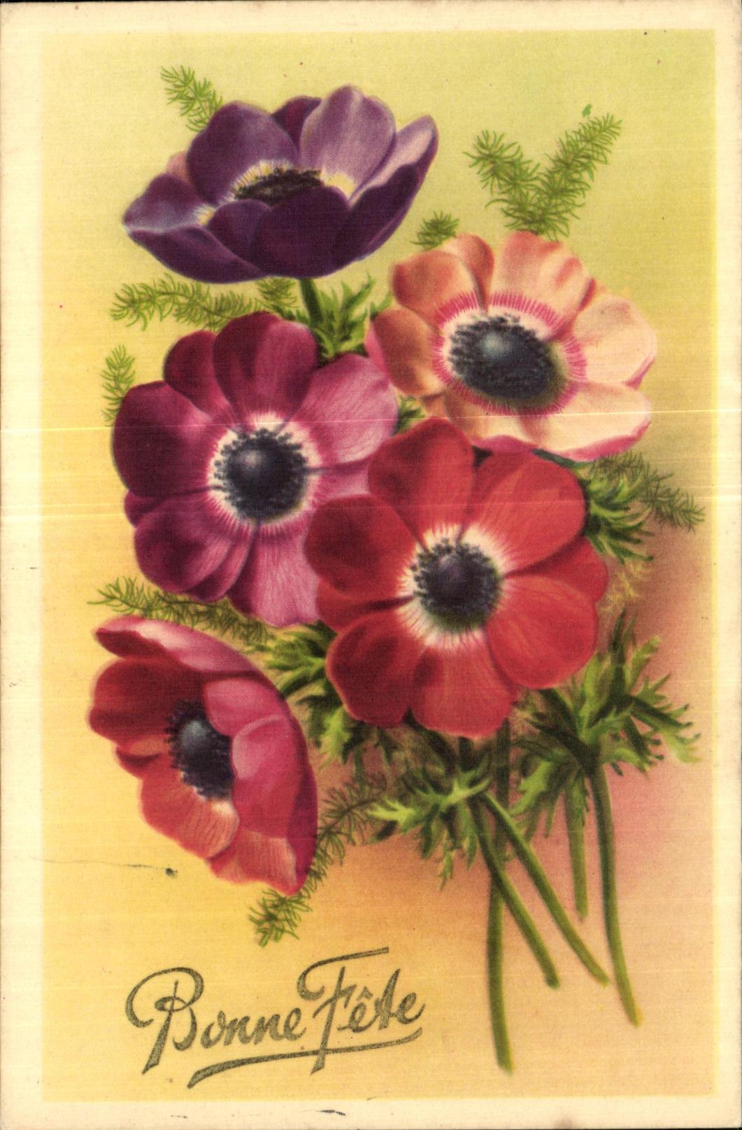 Flor de la fantasia de CPA