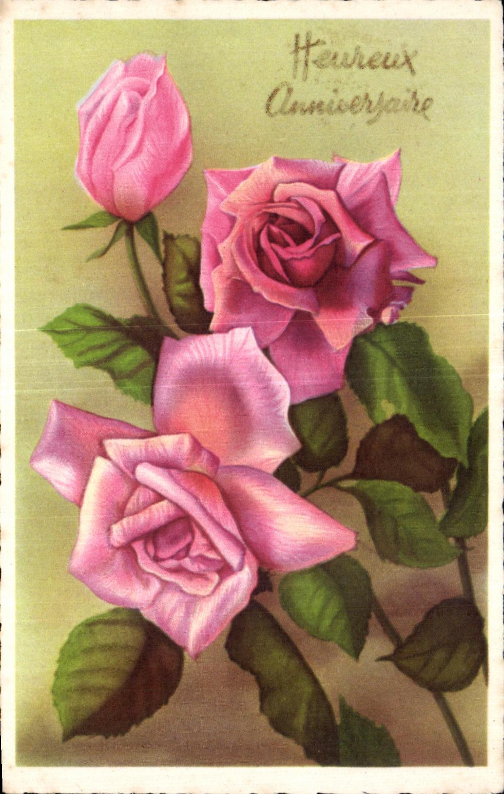 Flor de la fantasia de CPA