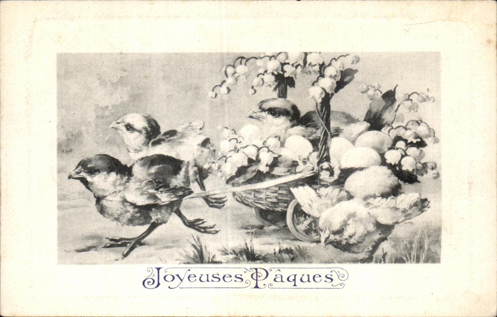 Easter Paques poussins