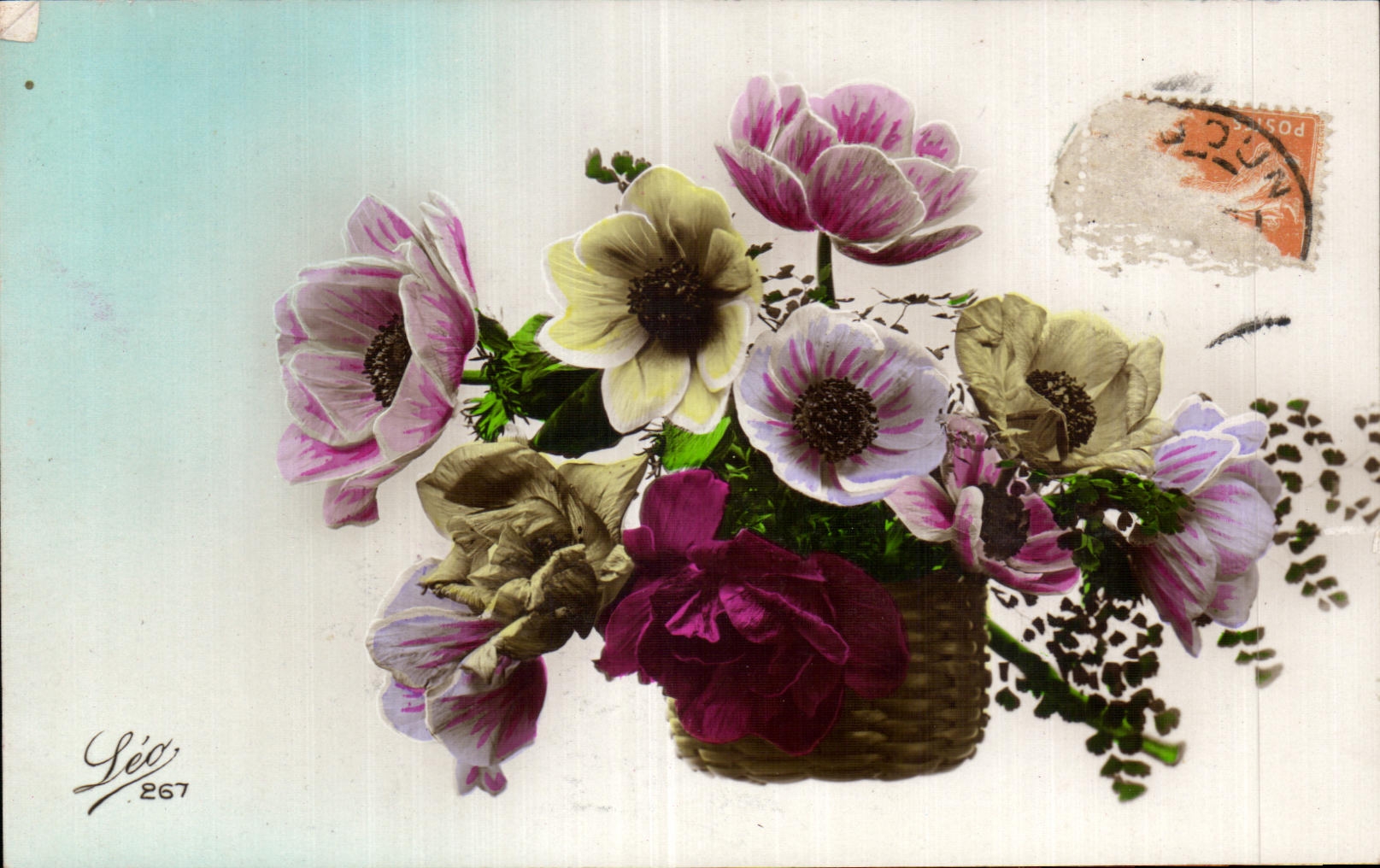 Flores de la fantasia de CPA