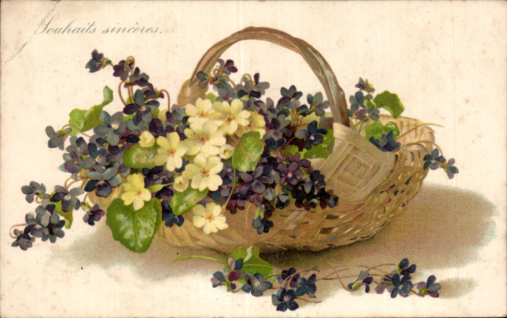 Flores de la fantasia de CPA