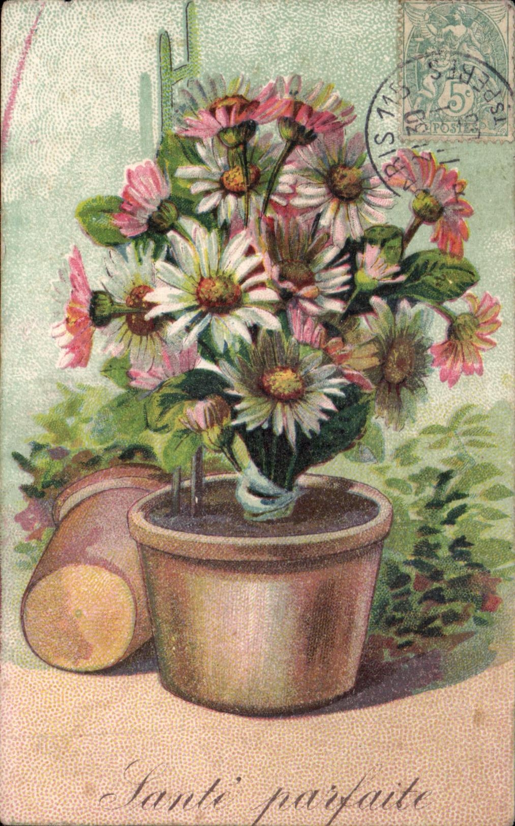 Flores de la fantasia de CPA