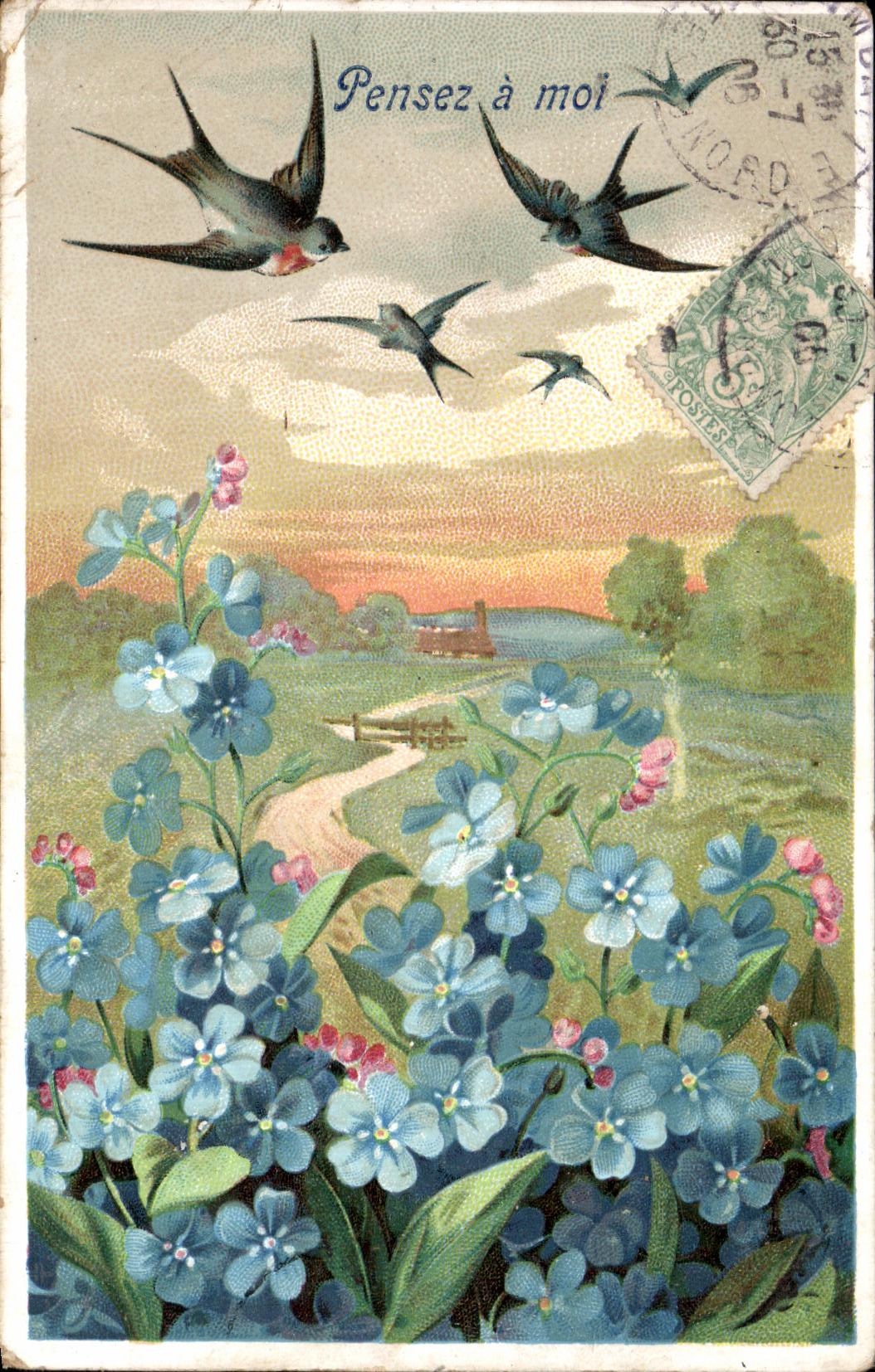 Tragos de las flores de la fantasia de CPA