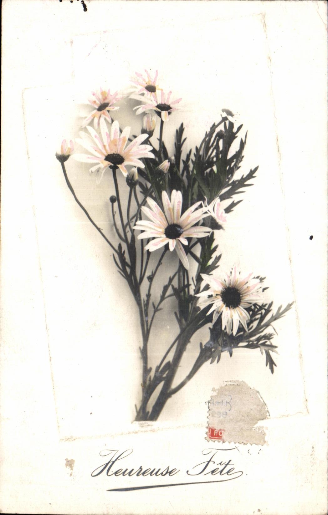 Flores de la fantasia de CPA