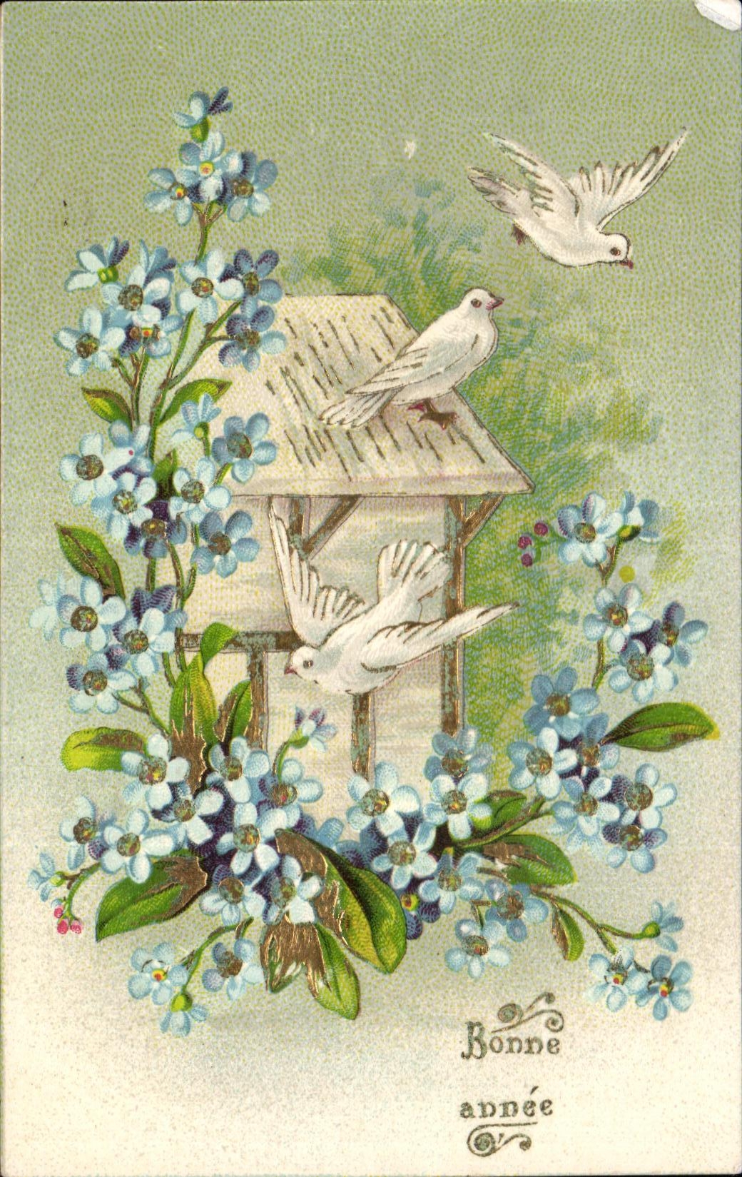 La fantasia de CPA florece palomas