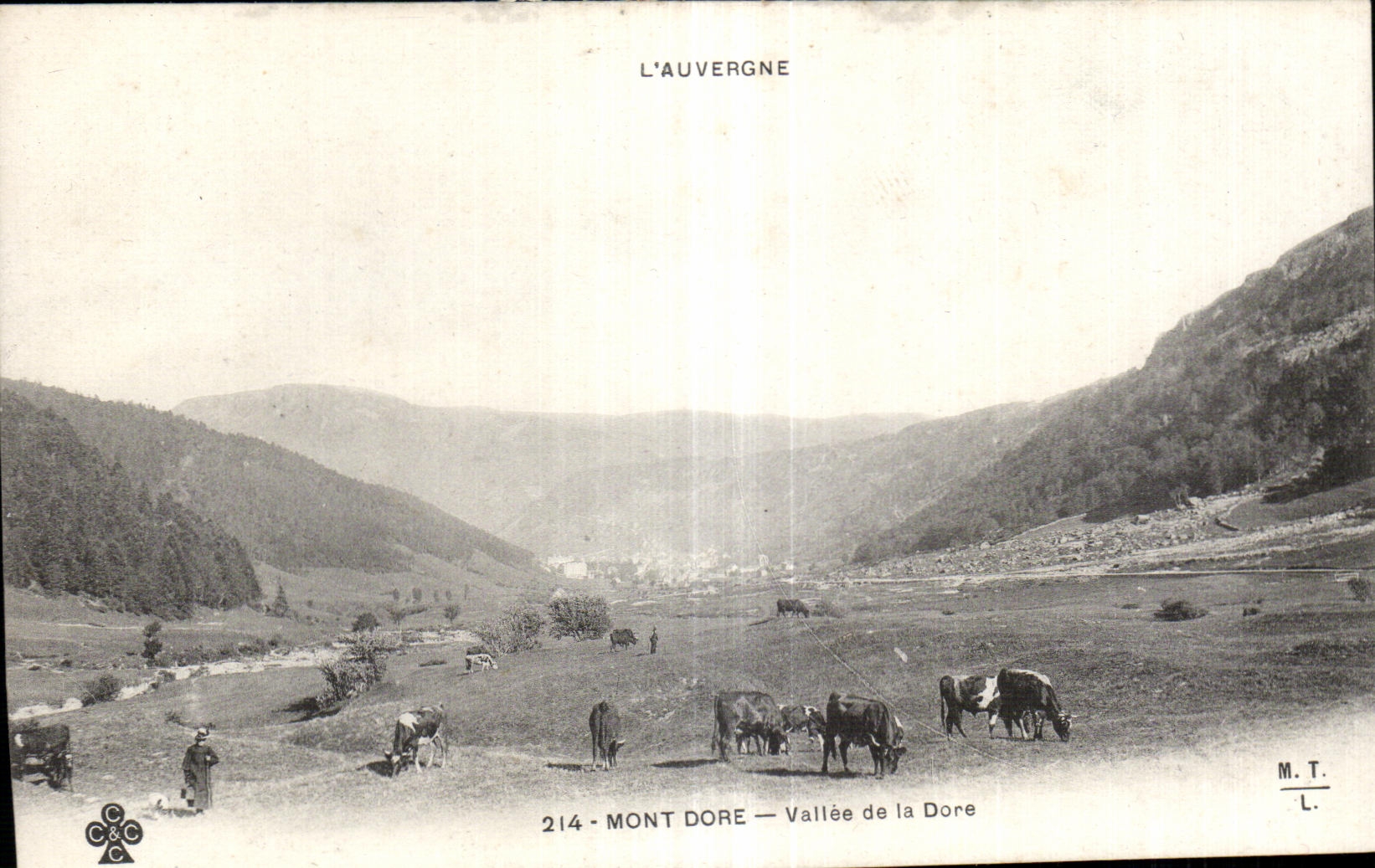 CPA the Mount Gilds Valley of Gilds Cows