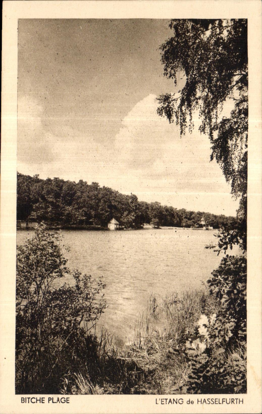 CPA Bitche Beach Pond of Hasselfurth