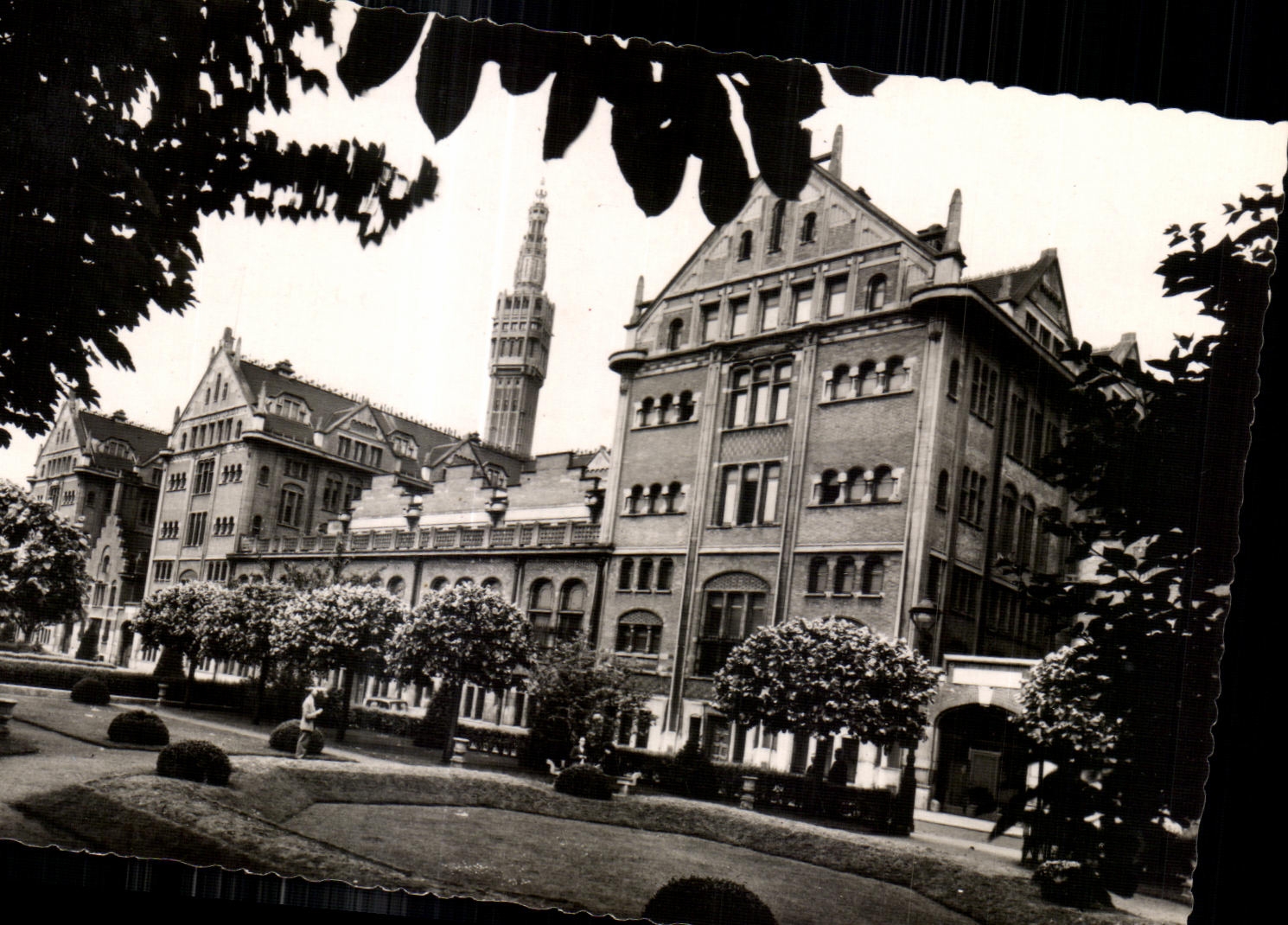 Northern CPA Lille Town hall and the Public garden of Reduie