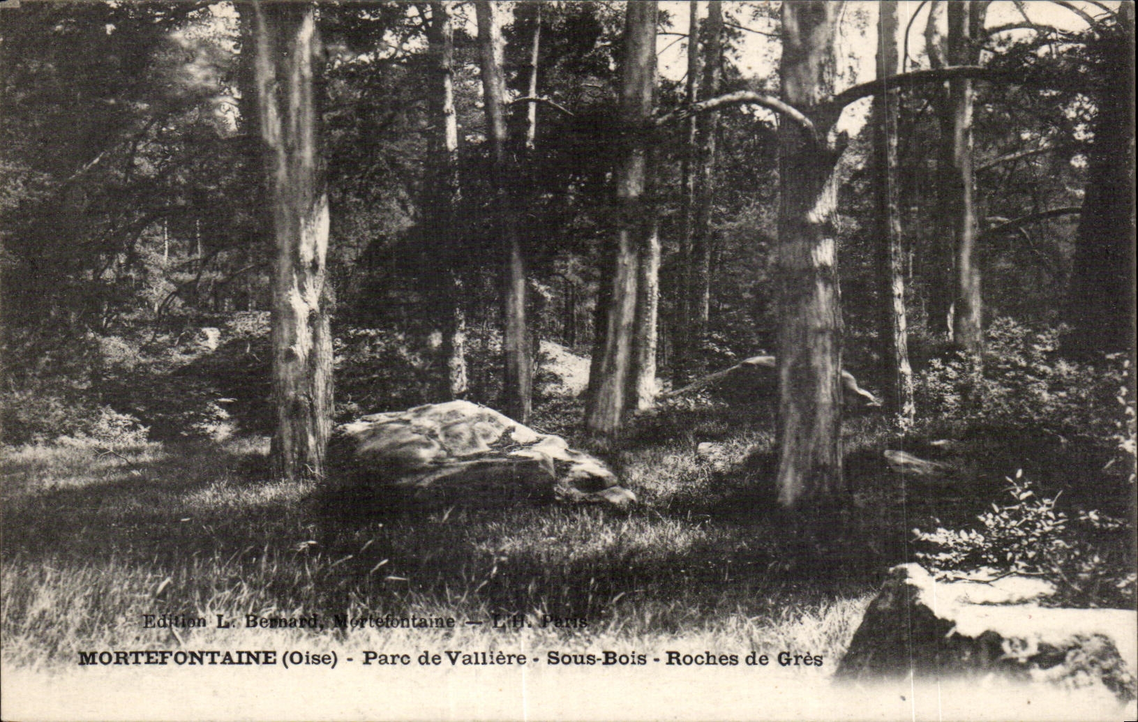 CPA Mortefontaine (Oise) Park of Valliere Under Wood Rocks of Sandstone