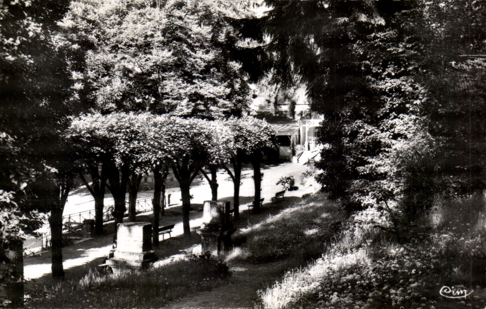 CPSM Bourbonne les bains (Hte-Marne) Un coin du Pare du Casino