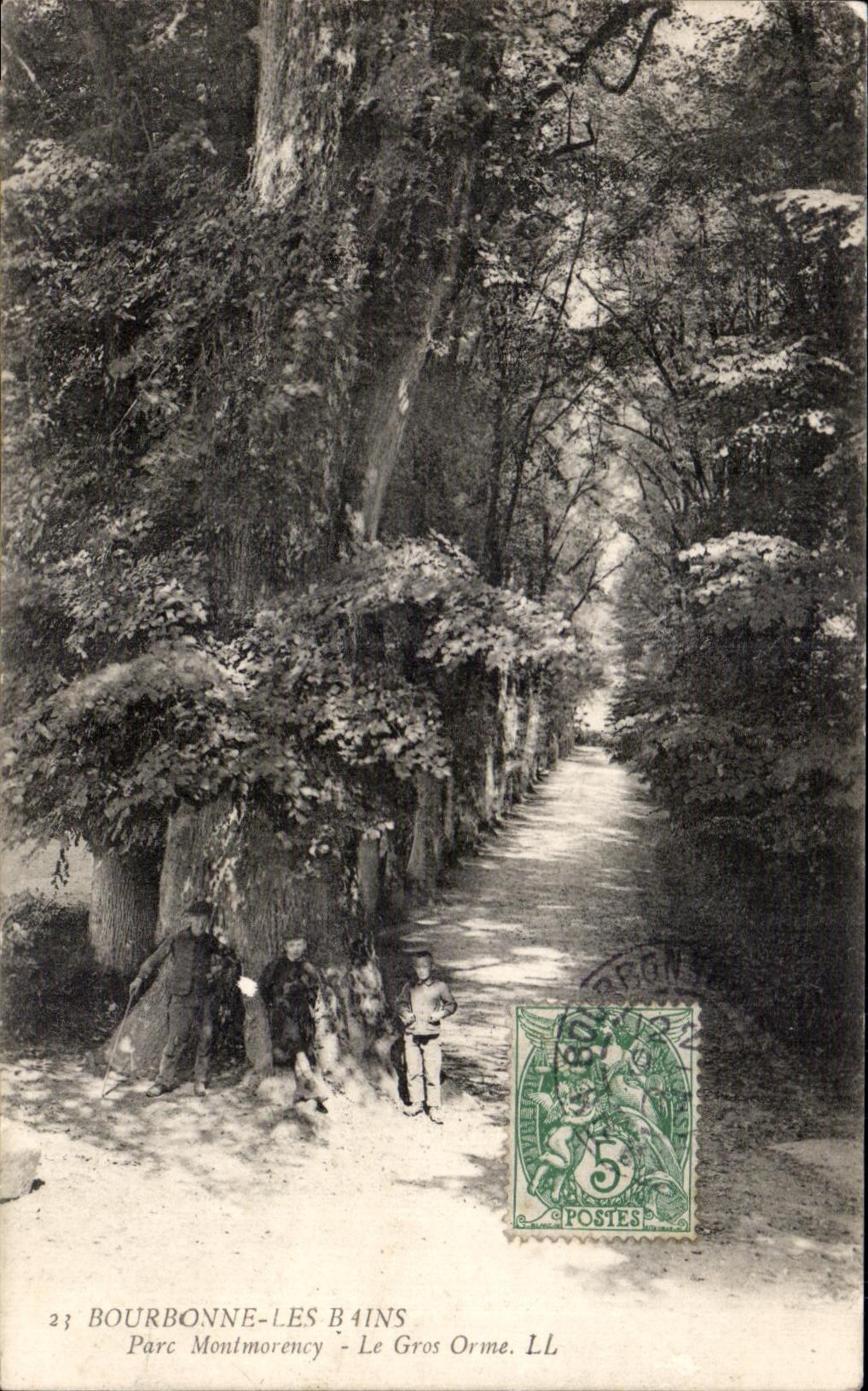 CPA Bourbonne Les Bains Parc Montmorency Le Gros Orme