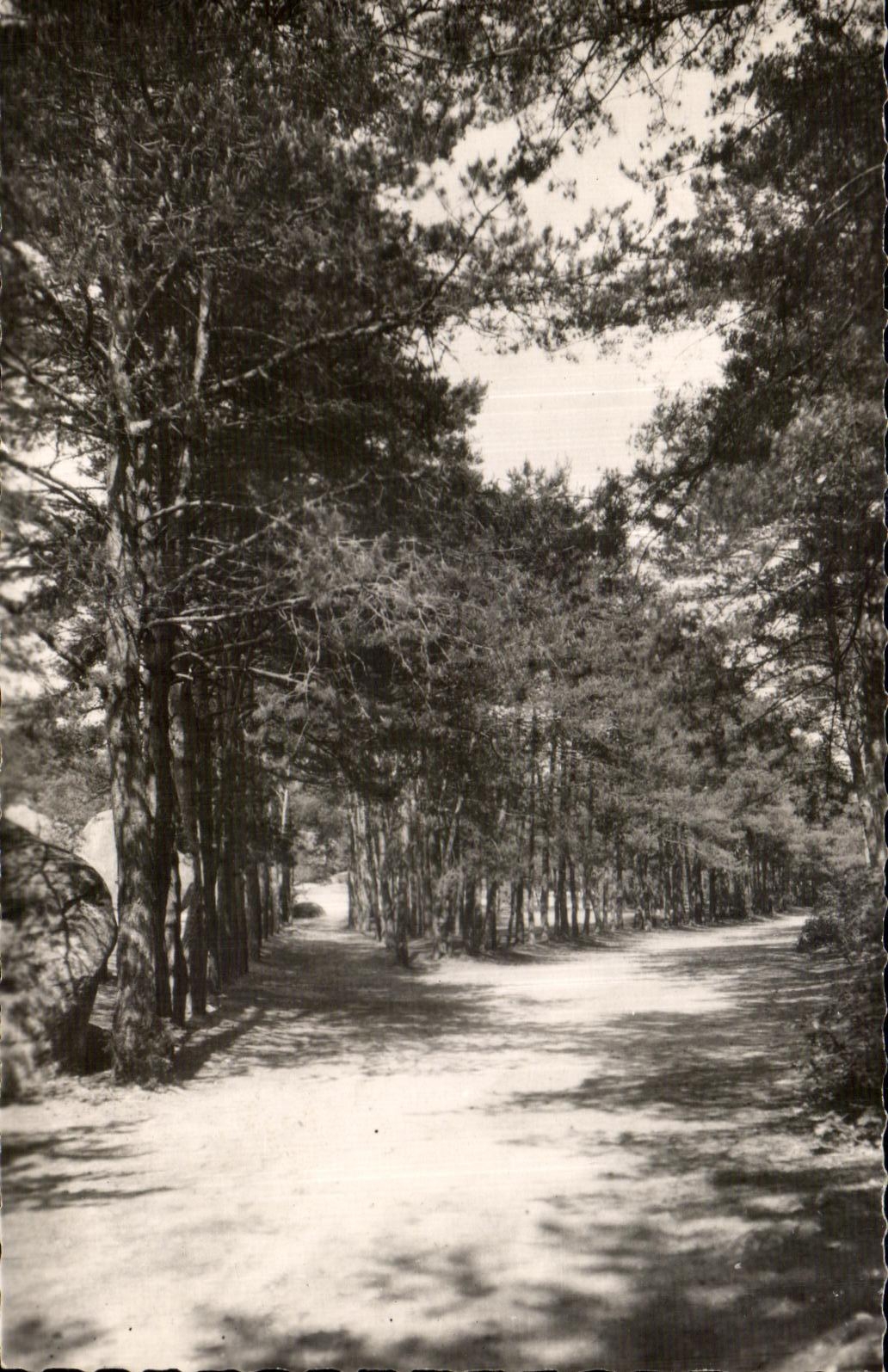 CPA Malesherbes (Loiret) Buthiers Way Auxy