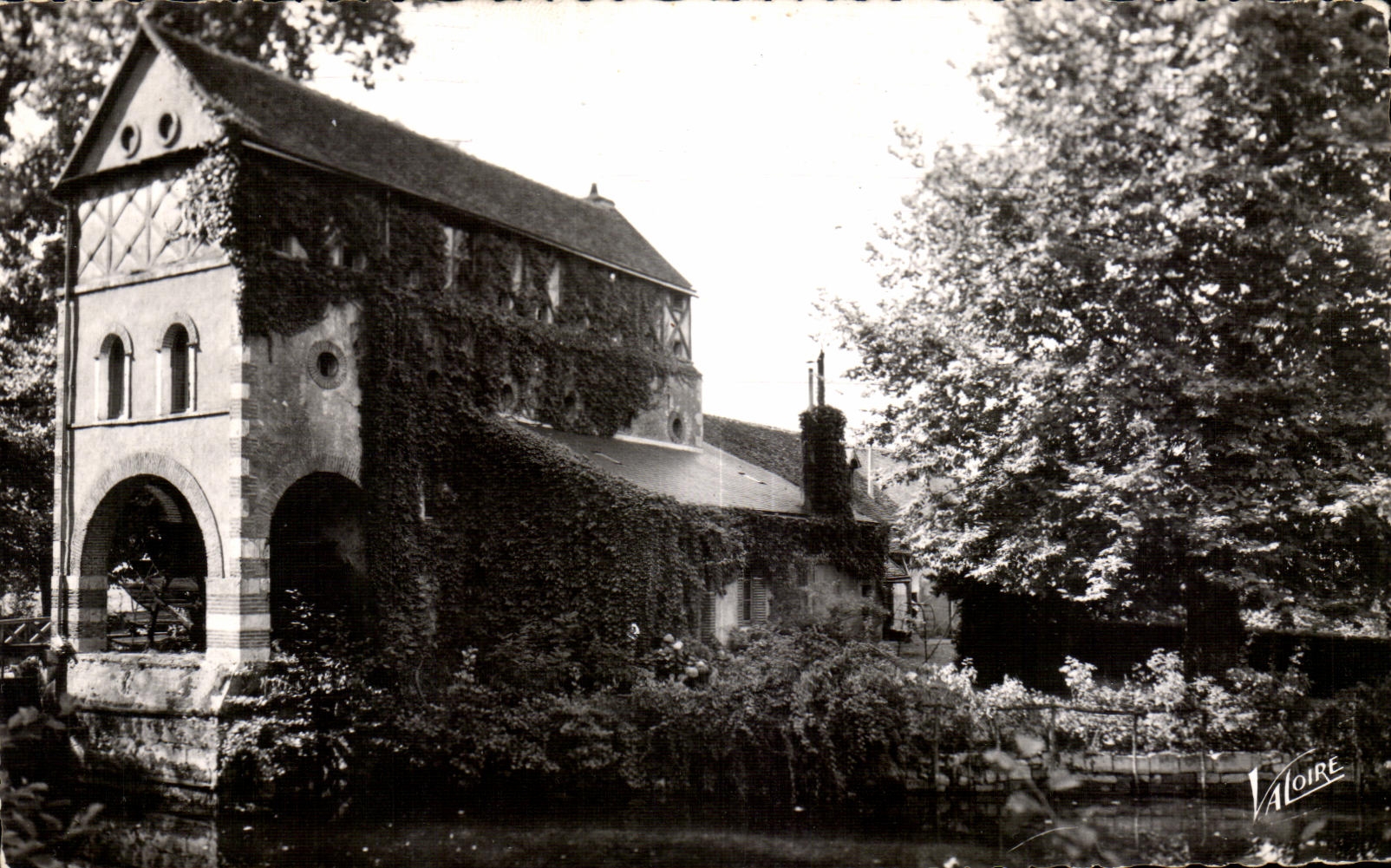 CPA Wonders Of the Loire Valley Olivet (Loiret)