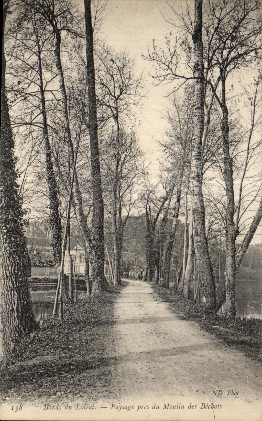 CPA Edges of Loiret Landscape close to the Mill of Bechets