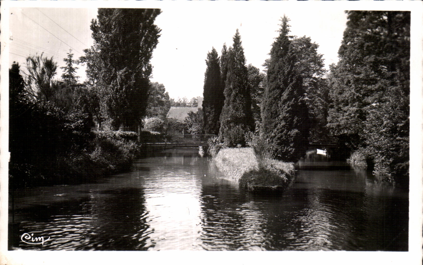 CPSM Meung on the Loire Mauves in the Marshes