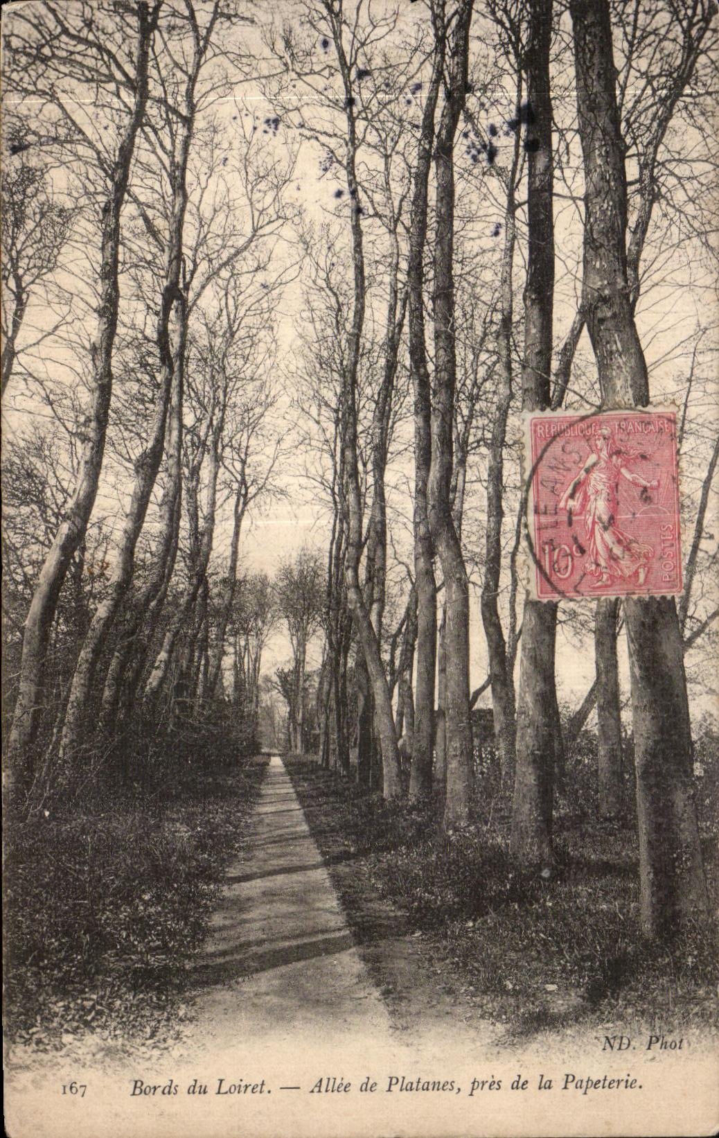 CPA Edges of Loiret Allee of Plane trees close to the Paper mill