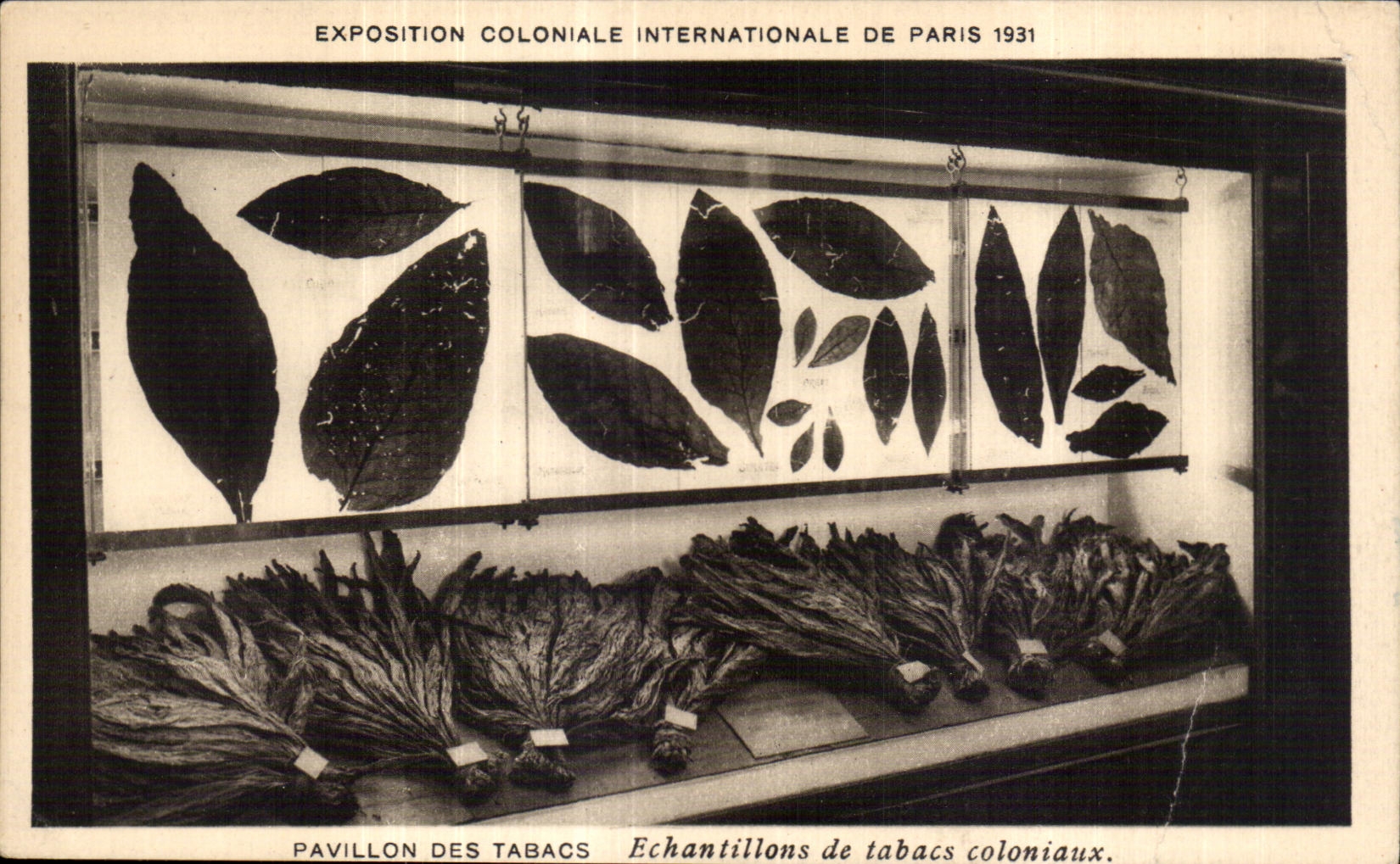 CPA Exposition Coloniale Internationale De pavillon des tabacs echantillons de tabacs coloniaux