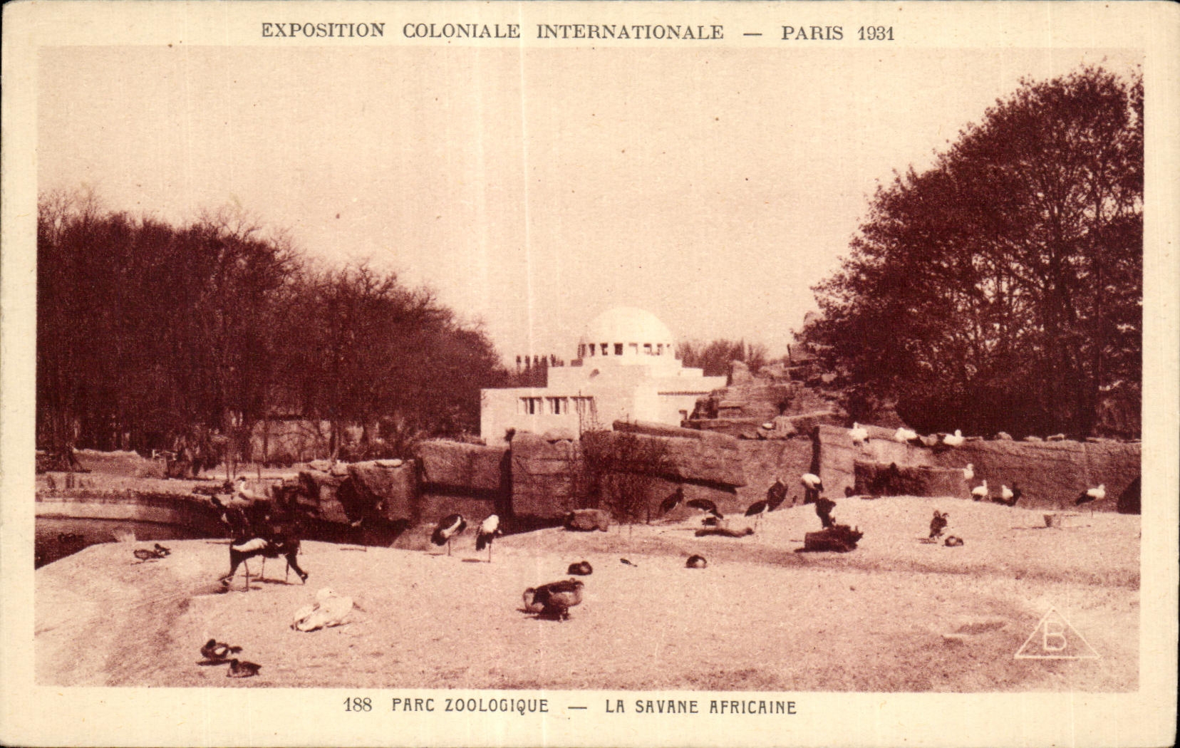 CPA - Exposition Coloniale Internationale - Paris 1931 Parc Zoologique - La Savane Africane