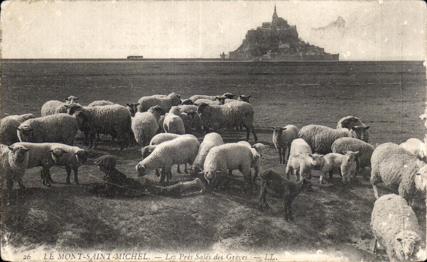 CPA Le Mont saint michel Le pres sales des greves Mouton Berger