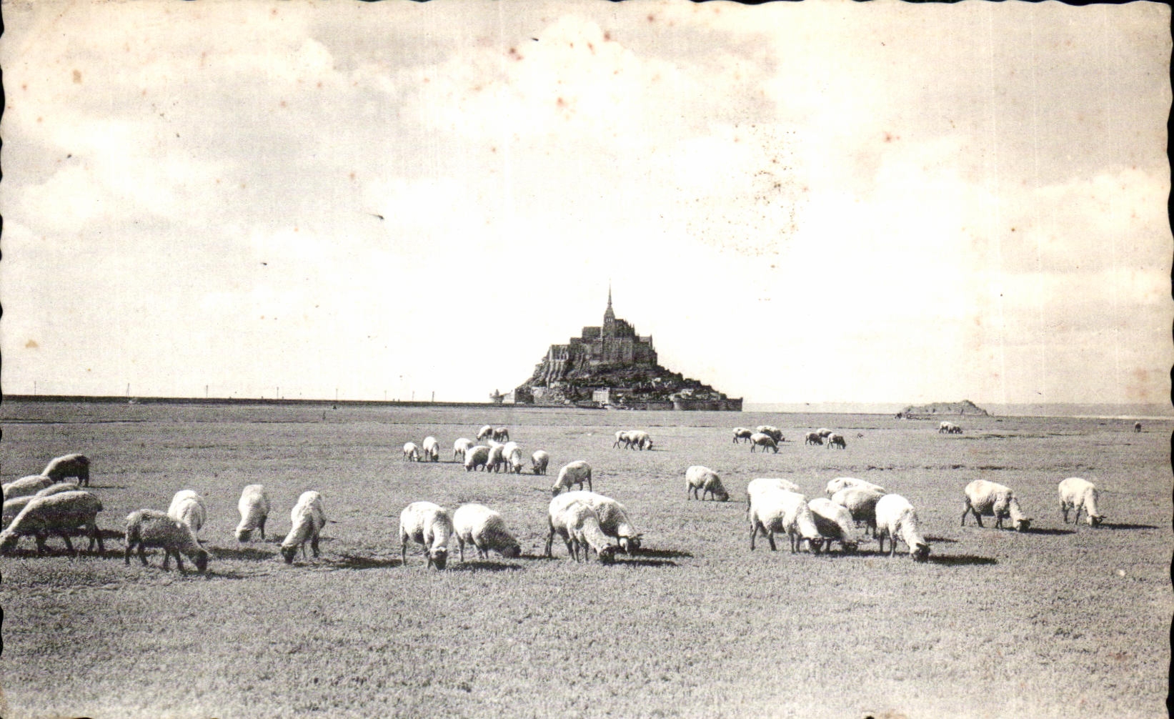 CPA Le mont st michel Pres sales sur les greves