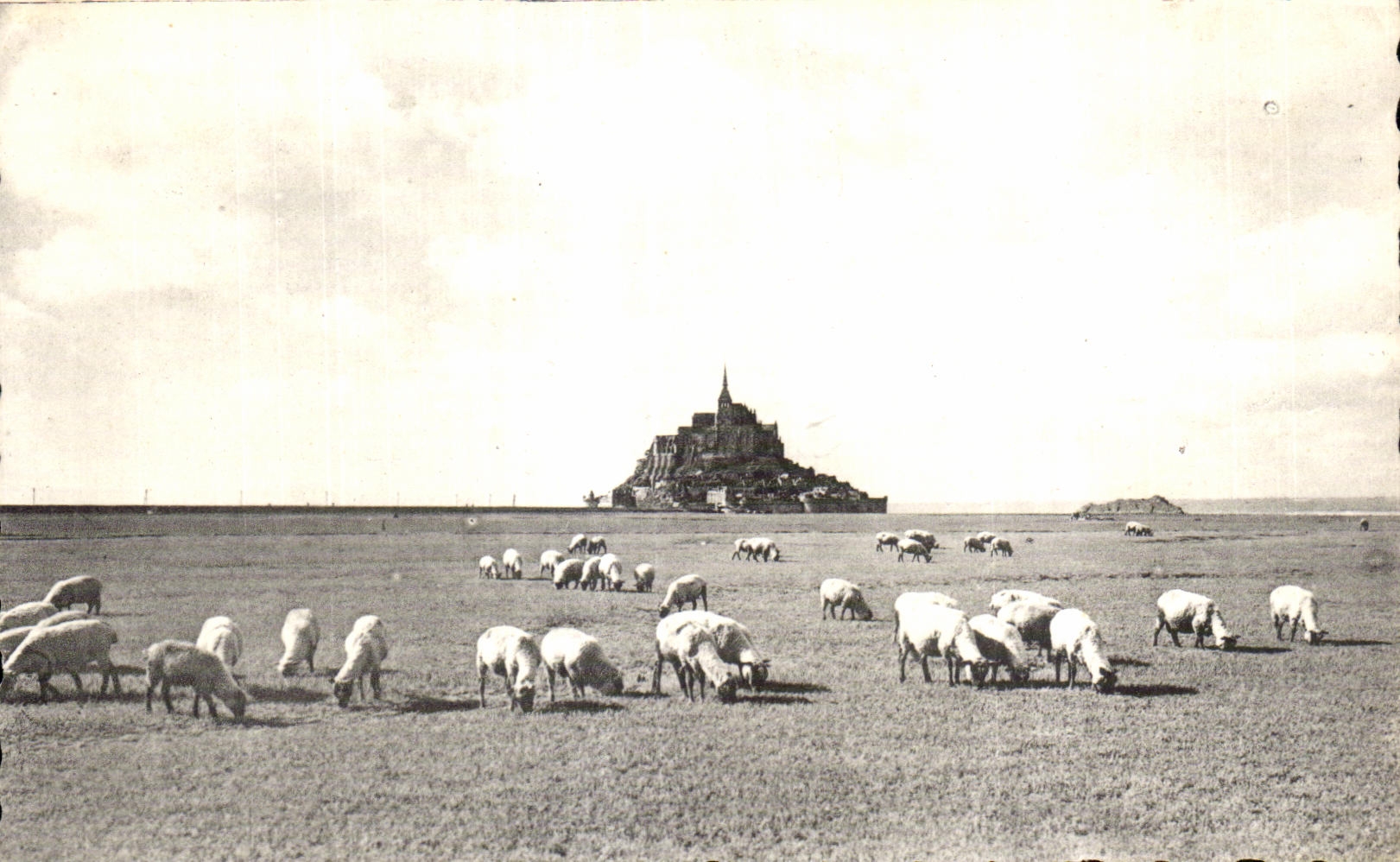 CPA Le mont st michel Pres sales sur les greves