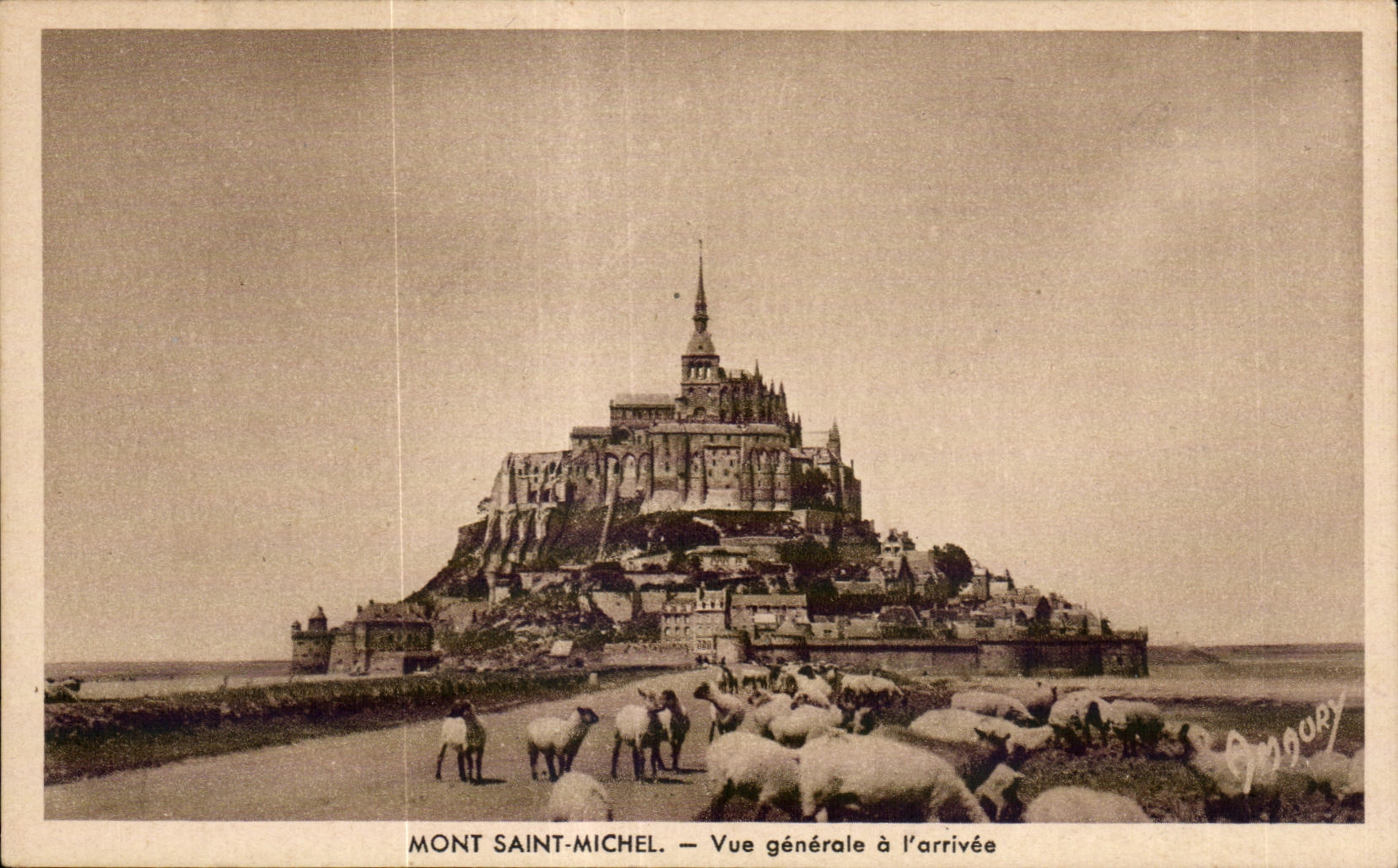 CPA Mont saint michel Vue generale a l arrivee Moutons 