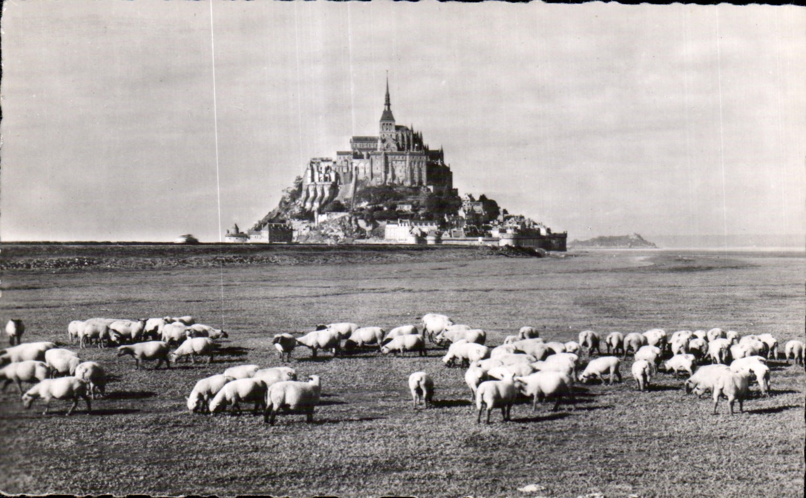 CPA Le celebres pres sales du mont saint michel 