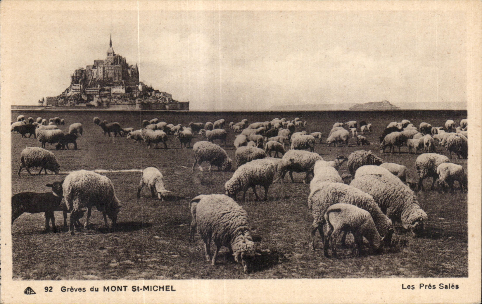 CPA Graves du mont st michel Moutons Sheep