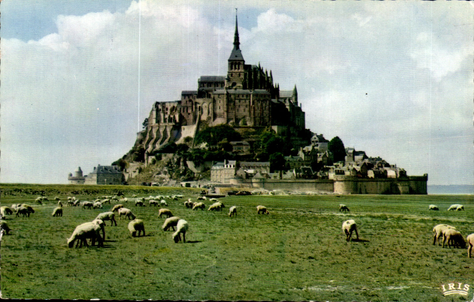 CPA Le mont saint michel et les pres sales Moutons Sheep