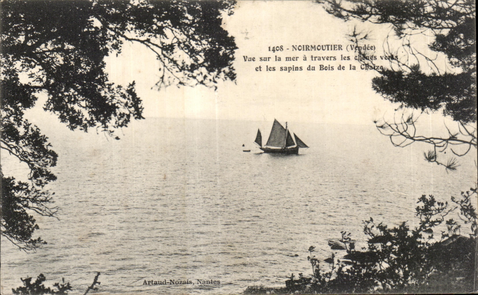 CPA Noirmoutier (Vendee) Vue Sur la Mer a travers les chanes