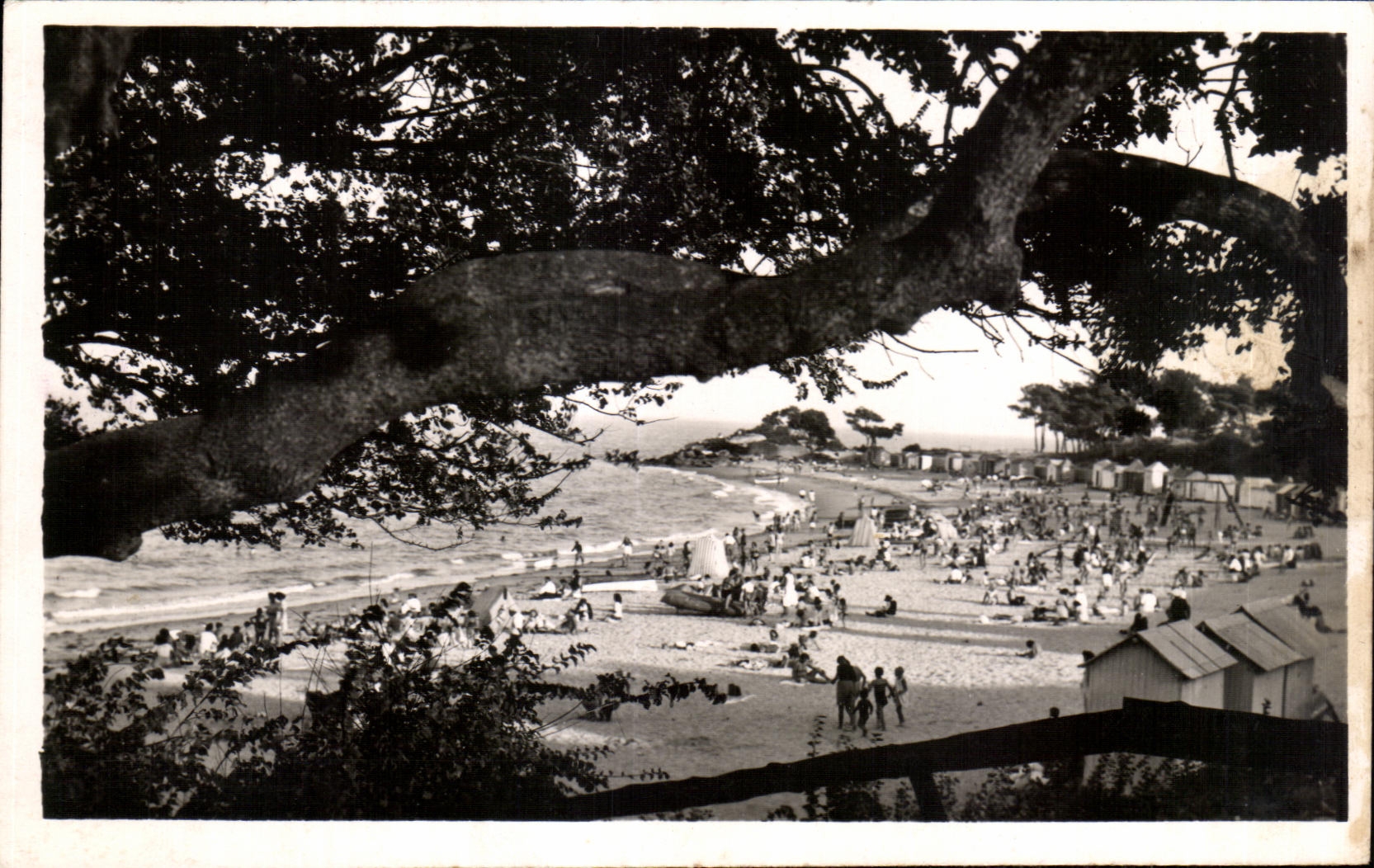 CPA Noirmoutier Vue generale de la plage des dames