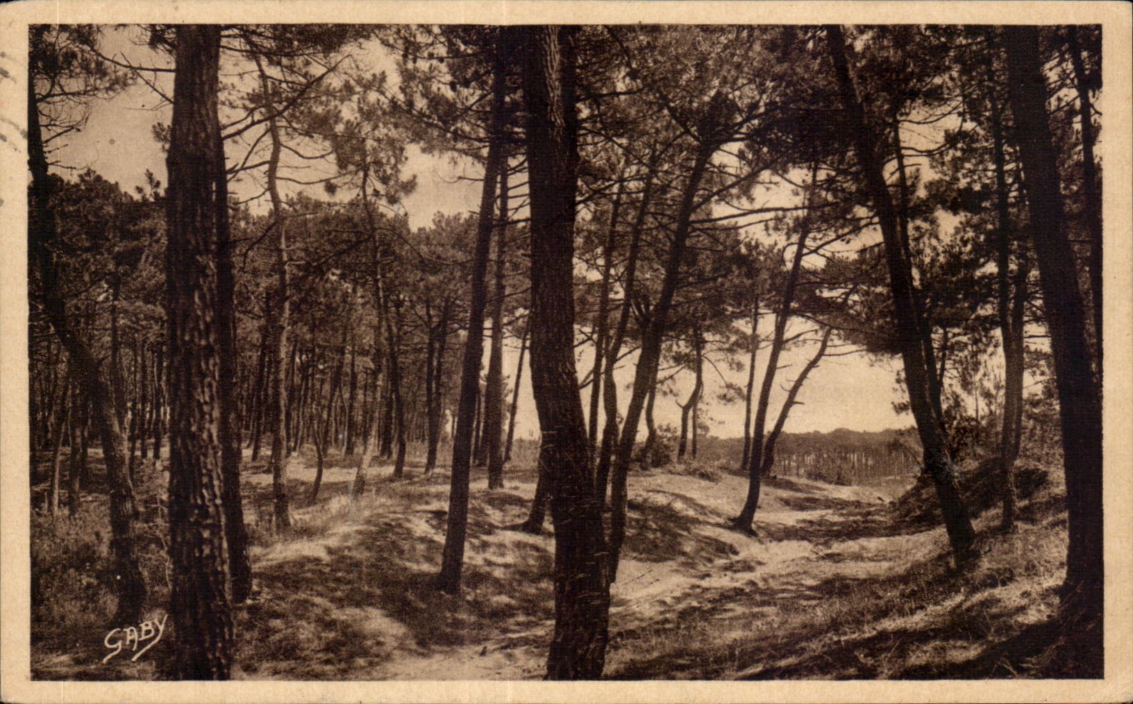 CPA La Tranche Sur Mer (Vendee) La Foret