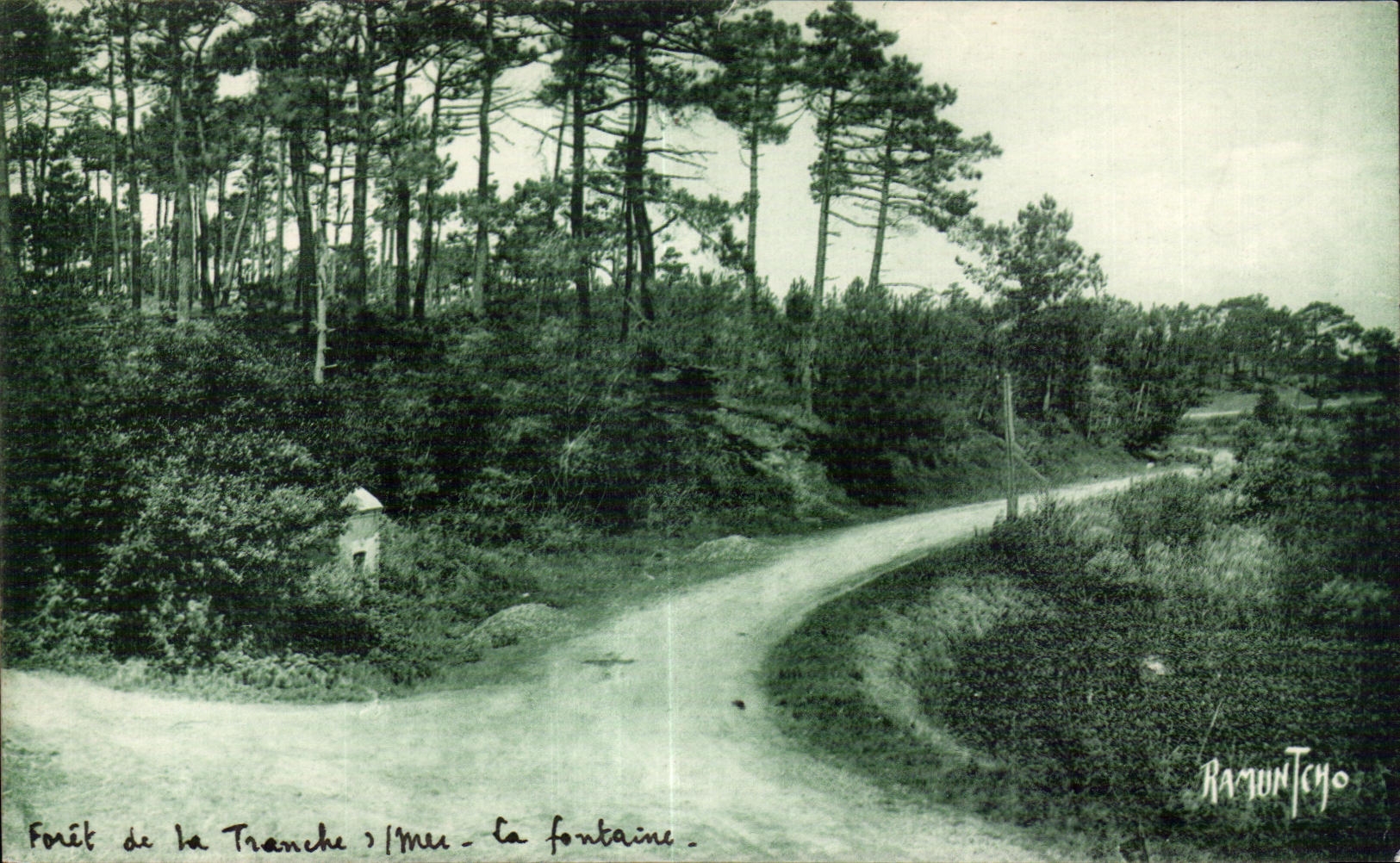 CPA La Tranche Sur Mer La foret La fontaine