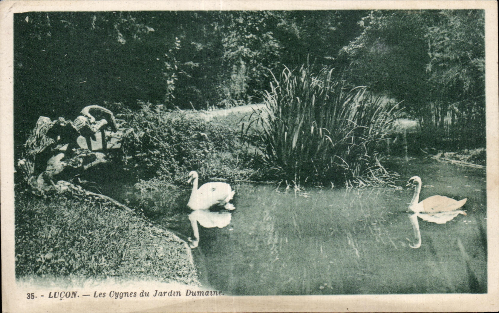 CPA Lucon Les Cygnes Jardin Dumaine