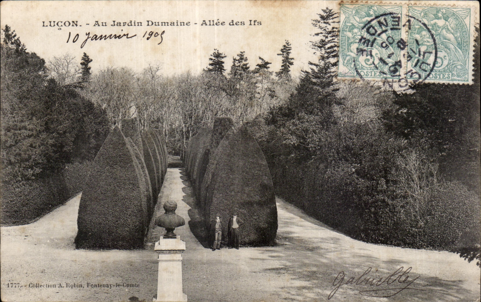 CPA Lucon au jardin dumaine allee des ifs