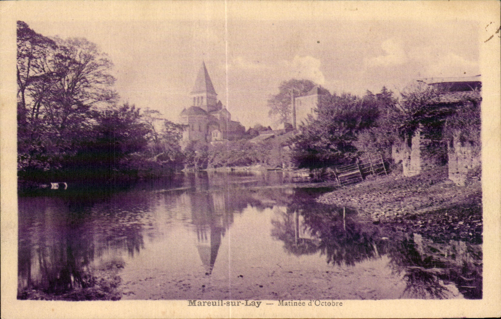 CPA Mareuil on lay Crossbred October