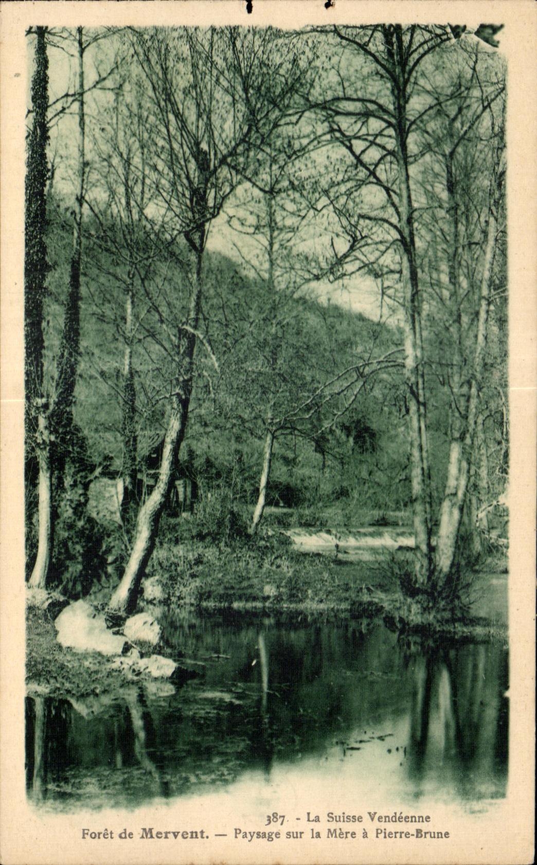 CPA La suisse vendeenne foret de mervent paysage sur la mere a pierre brune