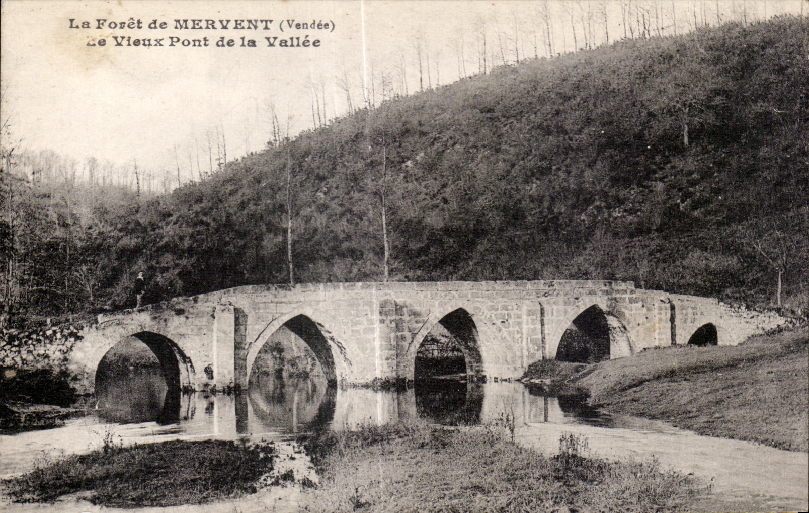CPA La foret de mervent de vieux pont de la valle