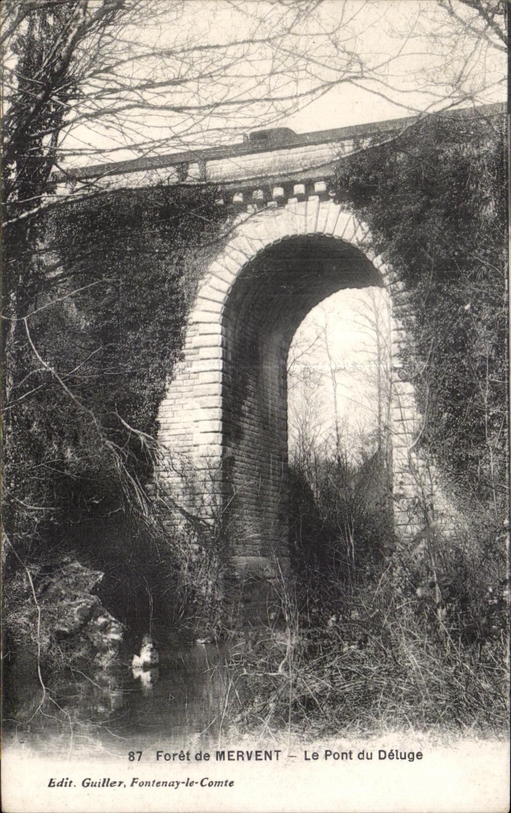 CPA Forer de mervent le pont du deluge